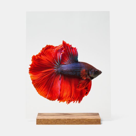 Benutzerdefiniertes 11" x 14" Acrylzeichen, mit Ho Acrylschild (Vorderseite)