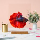 Benutzerdefiniertes 11" x 14" Acrylzeichen, mit Ho Acrylschild (Hochzeit)