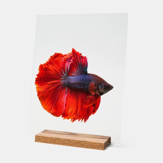 Benutzerdefiniertes 11" x 14" Acrylzeichen, mit Ho Acrylschild (Winkel)