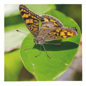 Benutzerdefiniertes 4" Foto Cube Würfel (Vorderseite)