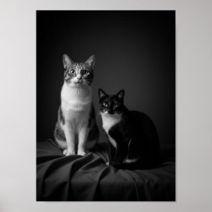 Benutzerdefiniertes 4K Schwarz-Weiß-Haustier-Portr Poster