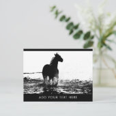 Benutzerdefiniertes Ausführen von Tiervorlage für Postkarte (Stehend Vorderseite)