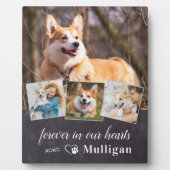 Benutzerdefiniertes Beileid für Hunde-Memorial 4 F Fotoplatte (Vorderseite)