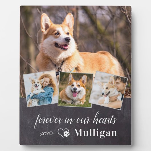 Benutzerdefiniertes Beileid für Hunde-Memorial 4 F Fotoplatte (Vorderseite)