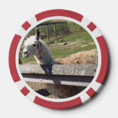 Benutzerdefiniertes Bild mit zwei Fotos personalis Pokerchips (Rückseite)