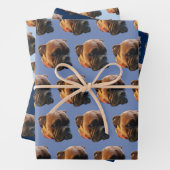 Benutzerdefiniertes Boxer-Dog-Foto Geschenkpapier Set (Beispiel)