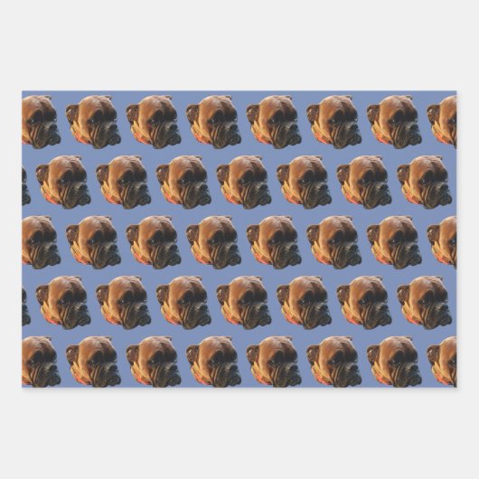 Benutzerdefiniertes Boxer-Dog-Foto Geschenkpapier Set (Vorderseite)