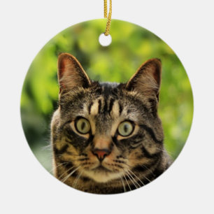 Benutzerdefiniertes braunes Tabby-Katzenfoto Keramik Ornament