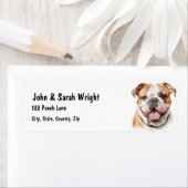 Benutzerdefiniertes Bulldoghundadressen-Etikett (Insitu)