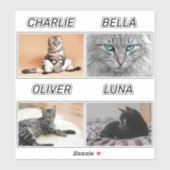 Benutzerdefiniertes Cat-Foto und Katzenname Person Aufkleber (Blatt)