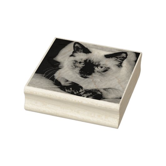 Benutzerdefiniertes Cat Pet-Foto Gummistempel (Stempel)
