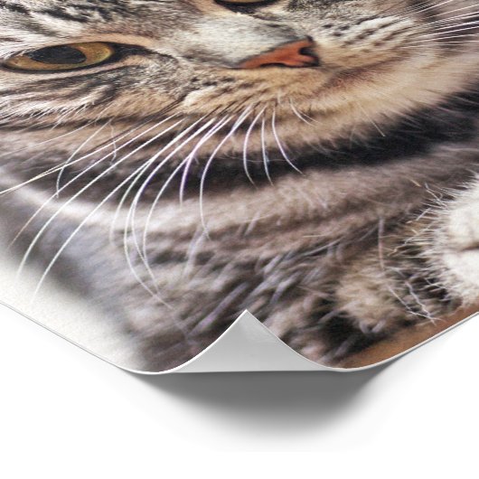 Benutzerdefiniertes Chat-Foto und Name Poster (Ecke)