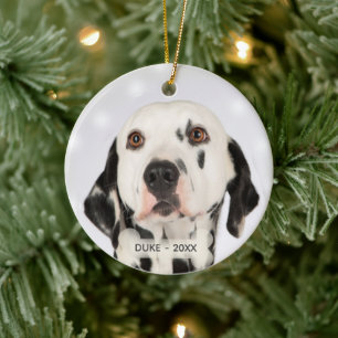 Benutzerdefiniertes Dalmatiner-Hund-Foto Keramik Ornament