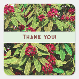 Benutzerdefiniertes Dankeschön Rhododendron Quadratischer Aufkleber