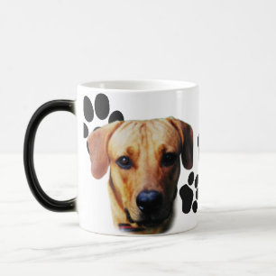 Benutzerdefiniertes Design Personalisierte Hundfl Verwandlungstasse