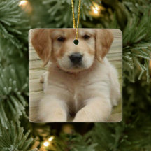 Benutzerdefiniertes Doppelbild Foto Weihnachten