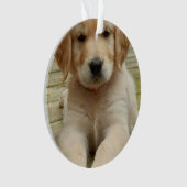 Benutzerdefiniertes Doppelbild Foto Weihnachten Ornament (Vorderseite)