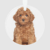 Benutzerdefiniertes Doppelbild Foto Weihnachten Ornament (Rückseite)