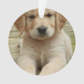 Benutzerdefiniertes Doppelbild Foto Weihnachten Ornament (Vorderseite)