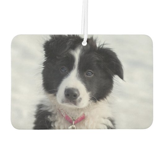 Benutzerdefiniertes Easy 2 Foto DIY Einfache Vorla Autolufterfrischer (Rückseite)