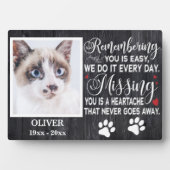 Benutzerdefiniertes Erinnerungsschreiben für Cat Fotoplatte (Vorderseite)