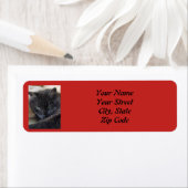 Benutzerdefiniertes Foto (Insitu)