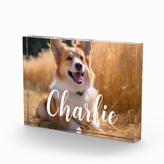 Benutzerdefiniertes Foto (Rechts)