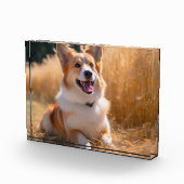 Benutzerdefiniertes Foto (Rechts)