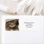 Benutzerdefiniertes Foto (Insitu)