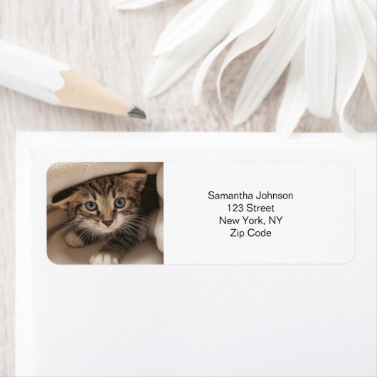 Benutzerdefiniertes Foto (Insitu)