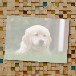 Benutzerdefiniertes Foto | Auto Konvertieren Sie I Post-it Klebezettel