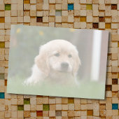 Benutzerdefiniertes Foto | Auto Konvertieren Sie I Post-it Klebezettel