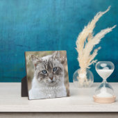 Benutzerdefiniertes Foto Cat Memorial Keepake Plaq Fotoplatte (InSitu)