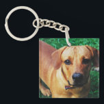 Benutzerdefiniertes Foto Doppelseitige Personalisi Schlüsselanhänger<br><div class="desc">Personalisierter doppelseitiger Schlüsselanhänger mit eigenem Foto. Spaß Geschenkidee für einen Freund oder Liebsten.</div>