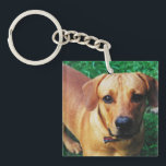 Benutzerdefiniertes Foto Doppelseitige Personalisi Schlüsselanhänger<br><div class="desc">Personalisierter doppelseitiger Schlüsselanhänger mit eigenem Foto. Spaß Geschenkidee für einen Freund oder Liebsten.</div>