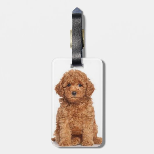 Benutzerdefiniertes Foto Doppelseitiges personalis Gepäckanhänger (Rückseite vertikal)