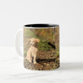 Benutzerdefiniertes Foto (Eigenes Foto und/oder Te Zweifarbige Tasse (Vorderseite Links)