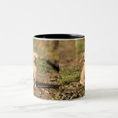 Benutzerdefiniertes Foto (Eigenes Foto und/oder Te Zweifarbige Tasse (Mittel)