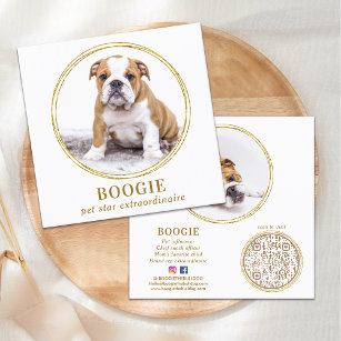 Benutzerdefiniertes Foto Eleganter Goldener Hund S Quadratische Visitenkarte
