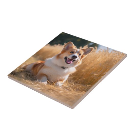 Benutzerdefiniertes Foto Fliese (Seite)