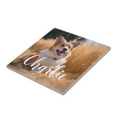 Benutzerdefiniertes Foto Fliese (Seite)