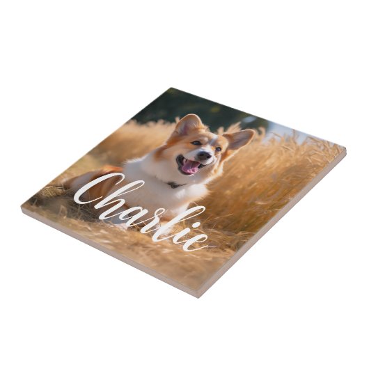 Benutzerdefiniertes Foto Fliese (Seite)