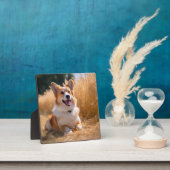 Benutzerdefiniertes Foto Fotoplatte (InSitu)