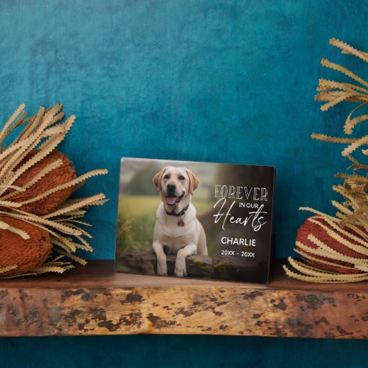 Benutzerdefiniertes Foto Fotoplatte (Seite)