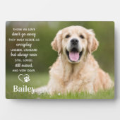 Benutzerdefiniertes Foto für das Memorial Pet Loss Fotoplatte (Vorderseite)