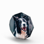 Benutzerdefiniertes Foto für Haustiere | Erstellen (Rechts)