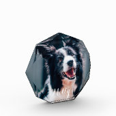 Benutzerdefiniertes Foto für Haustiere | Erstellen (Links)