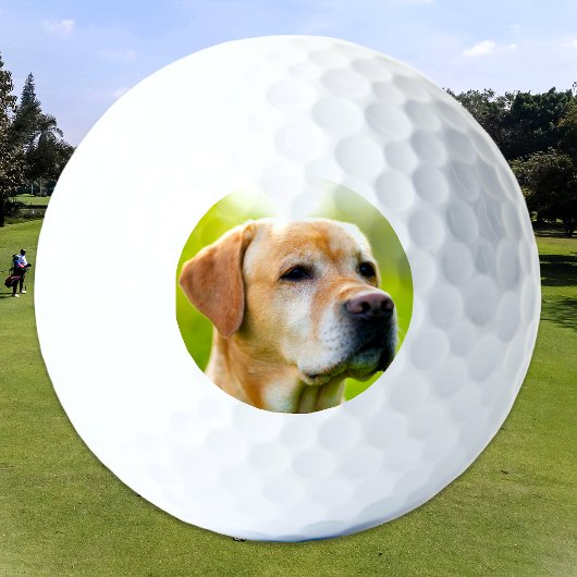 Benutzerdefiniertes Foto für Haustiere Katze Perso Golfball
