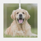 Benutzerdefiniertes Foto für Haustiere Moderner ei Ornament Aus Glas (Vorderseite)