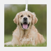 Benutzerdefiniertes Foto für Haustiere Moderner ei Ornament Aus Glas (Rückseite)